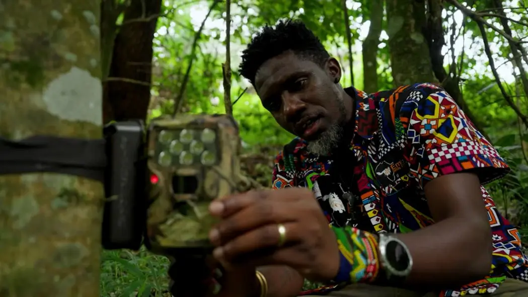 زیست‌شناس حیات‌وحش مویزی موگروا دوربین‌تراپ را به یک درخت نصب می‌کند.