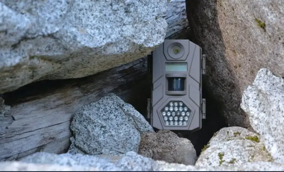 این مرد دوربین را به مدت ۱۰ سال در یک غار گذاشت – هرگز انتظار نداشت که چه چیزی ضبط خواهد کرد