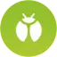 آیکن نوع حشره