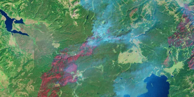 سری زمانی یلوستون