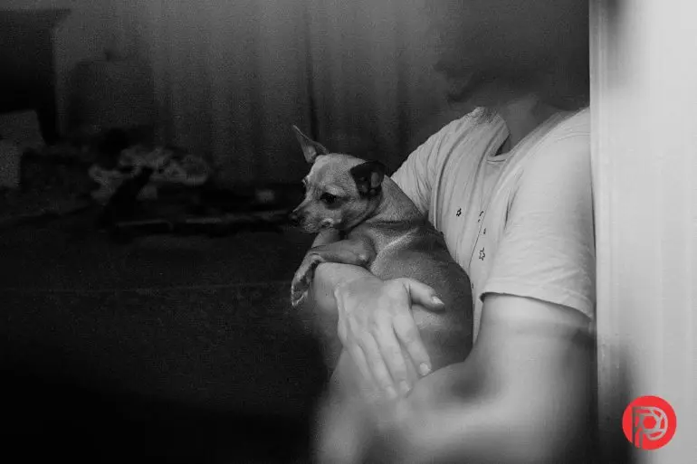 شخصی داخل خانه بهنرمی یک سگ کوچک را در آغوش میگیرد، هر دو به دوردست نگاه میکنند.