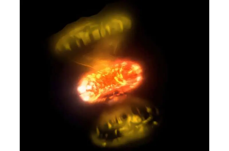 تصاویر نزدیک، نمایی از انفجار ستارگان