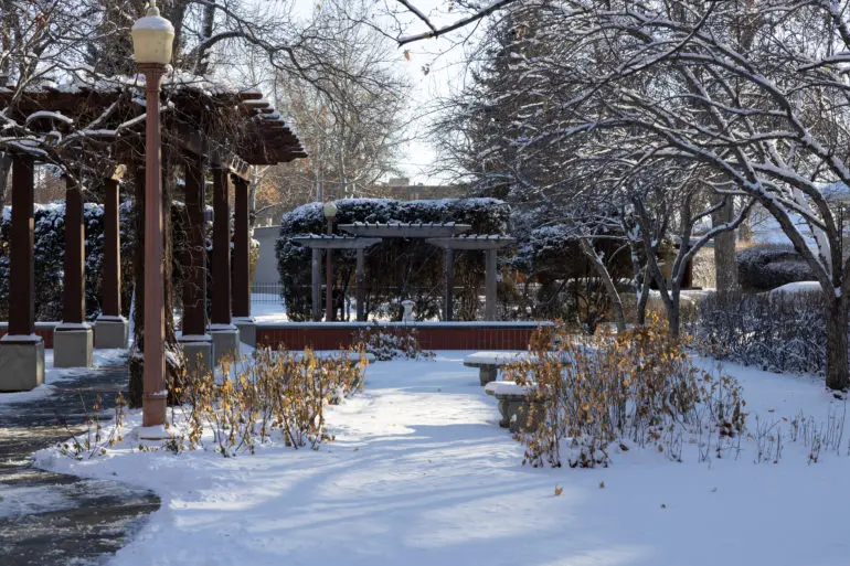 پارکی پوشیده از برف با درخت‌های بدون برگ، نیمکت‌ها و پرگولاها زیر نور آفتاب واضح زمستانی.