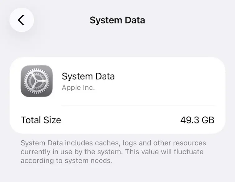صفحه داده‌های سیستمی